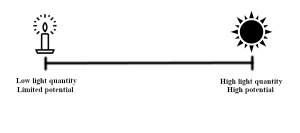 Light quantity spectrum
