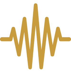 SpeakLink - Problem and solution